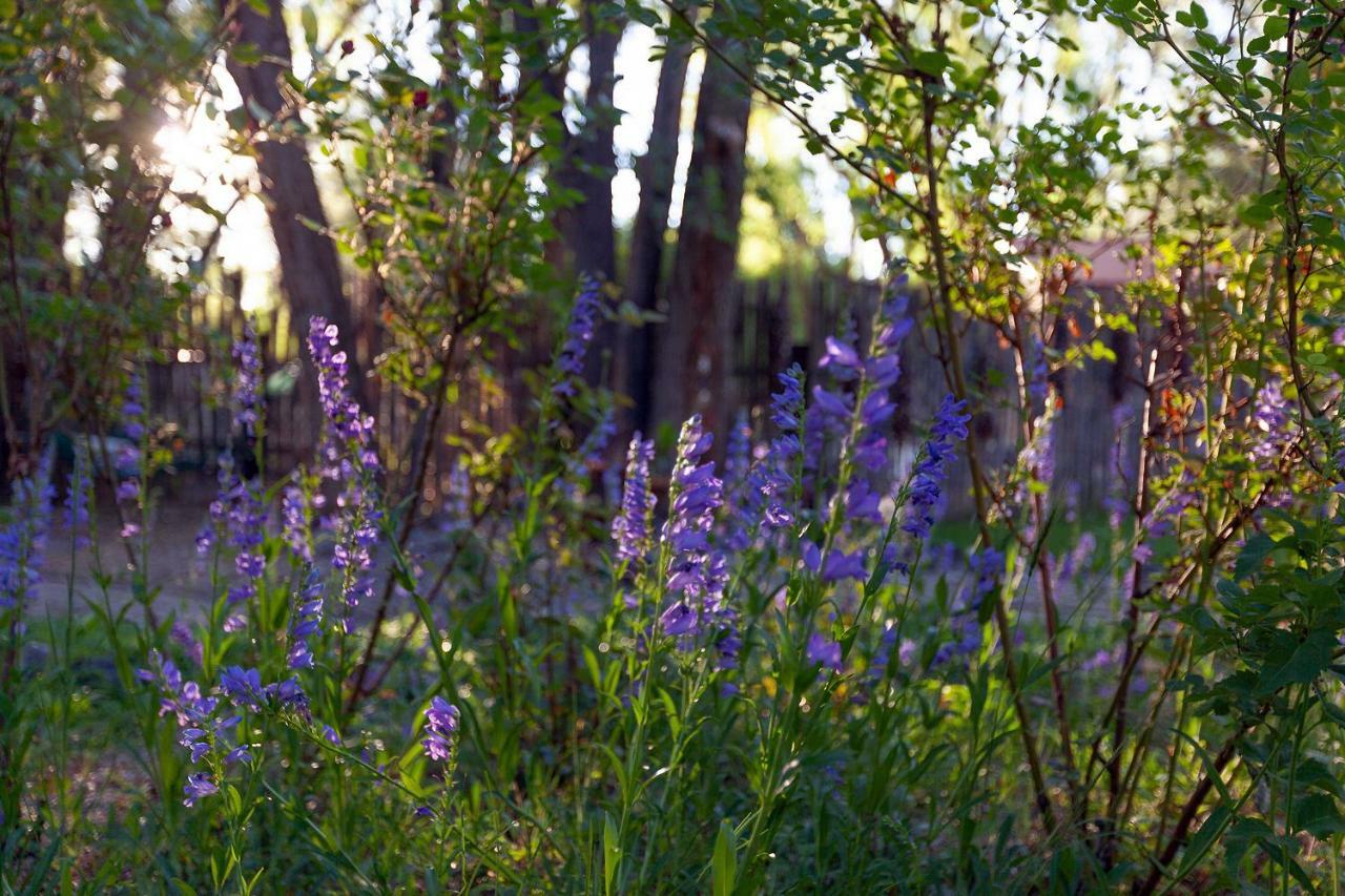 Dreamcatcher B&B Taos Exterior photo